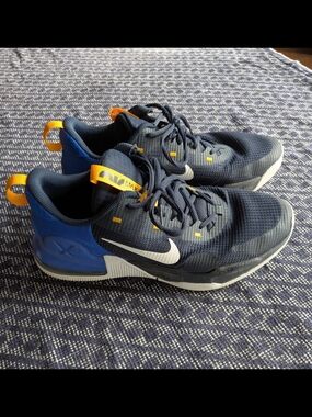 Nike Men's Air Max Alpha Trainer X In  Obsidian/Blue/Sundail White Sz 9.5